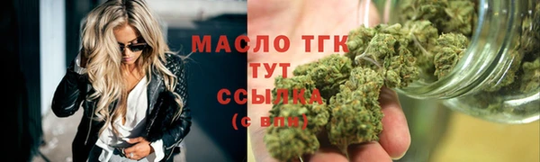 тгк Алзамай