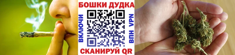 Конопля план  Карасук 